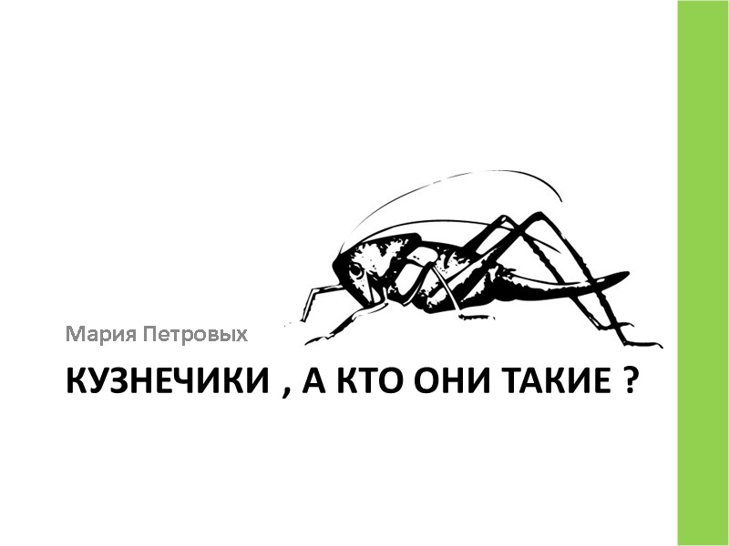 Кузнечики , а кто они такие ? Мария Петровых